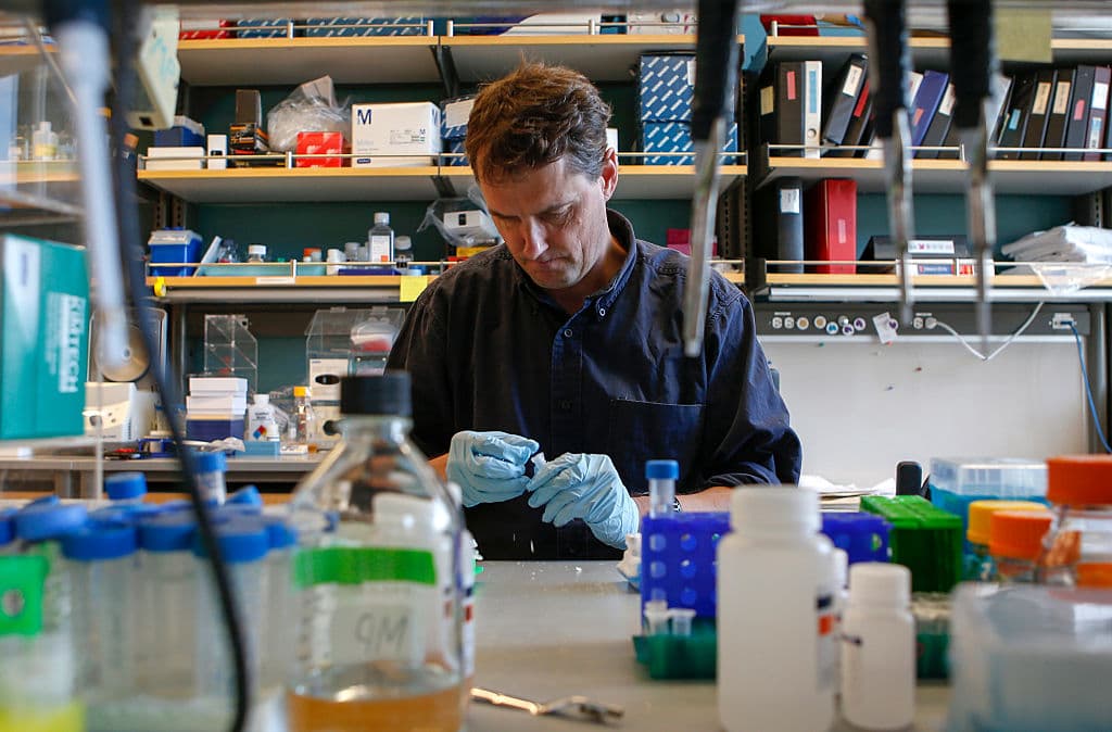 Reproductive Firms Promote Polygenic Embryo Screening