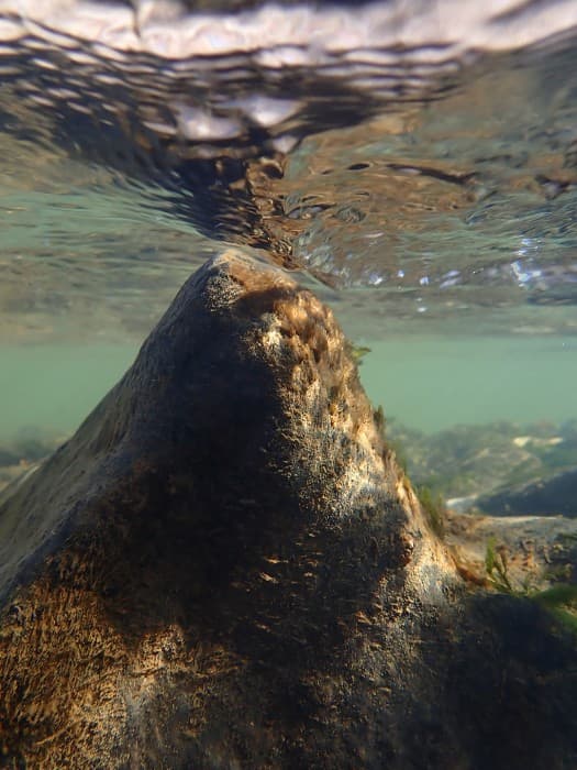 Photographer Ludeker Presents Defamiliarized Underwater Landscapes