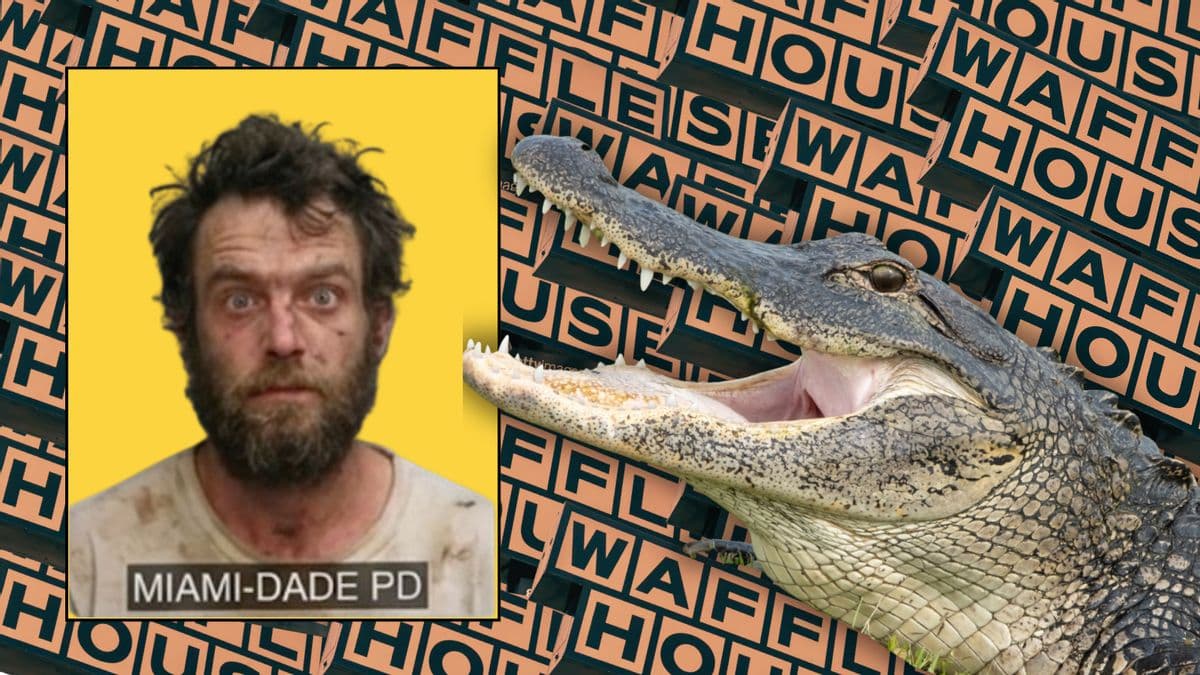 Satire Account Falsely Reports Waffle House Alligator Arrest
