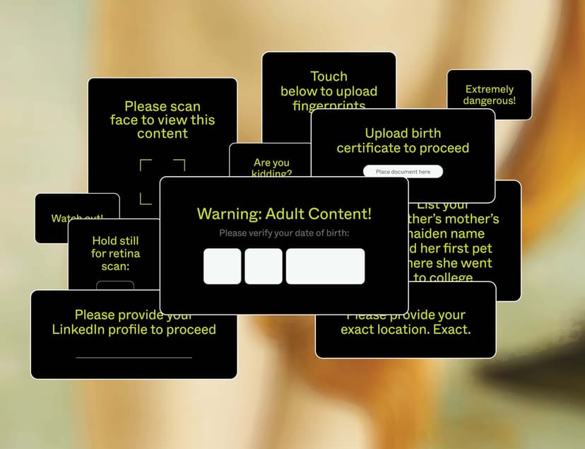 Age Verification Laws Shrink Online Adult Workers' Incomes