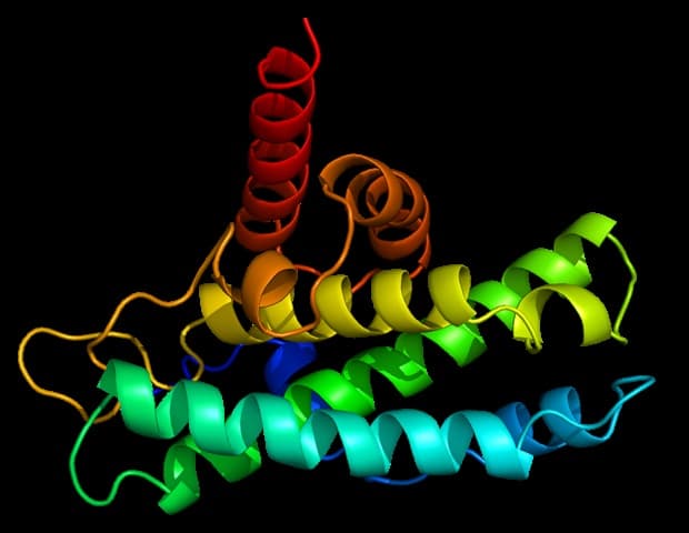AlphaFold Consortium Releases Millions of Protein Complexes